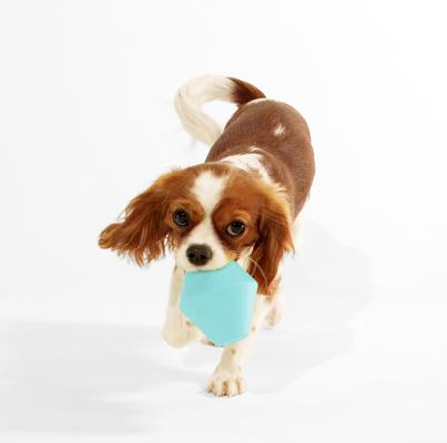 Show full view: Playology Peanut Butter Scented Squeaky Chew Cone Dog Toy, Jumbo slide 3 of 6