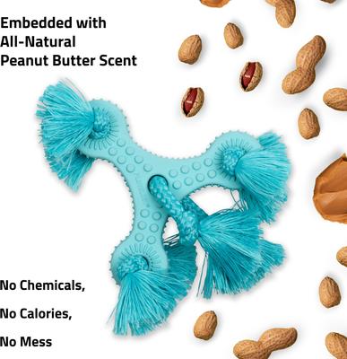 Show full view: Playology Peanut Butter Scented Young & Active Teething Triangle Dog Toy, Jumbo slide 4 of 7