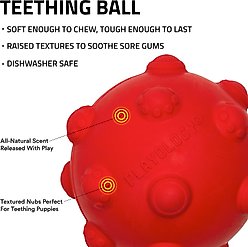 Playology Beef Scented Young & Active Teething Ball Dog Toy, Medium slide 2 of 6
