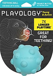 Playology Peanut Butter Scented Young & Active Teething Ball Dog Toy, Medium
