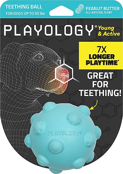 Show full view: Playology Peanut Butter Scented Young & Active Teething Ball Dog Toy, Medium slide 1 of 8