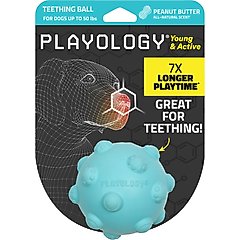 Playology Peanut Butter Scented Young & Active Teething Ball Dog Toy