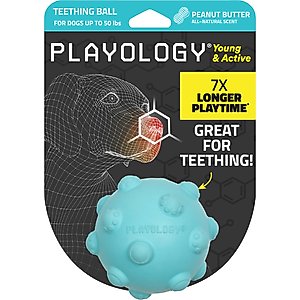 Playology Peanut Butter Scented Young & Active Teething Ball Dog Toy, Medium