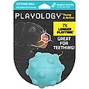 Playology Peanut Butter Scented Young & Active Teething Ball Dog Toy, Medium