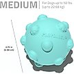 Show in main carousel: Playology Peanut Butter Scented Young & Active Teething Ball Dog Toy, Medium slide 6 of 8