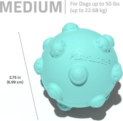 Show full view: Playology Peanut Butter Scented Young & Active Teething Ball Dog Toy, Medium slide 6 of 8