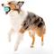 Show in main carousel: Playology Peanut Butter Scented Squeaky Chew Ball Dog Toy, Jumbo slide 4 of 9