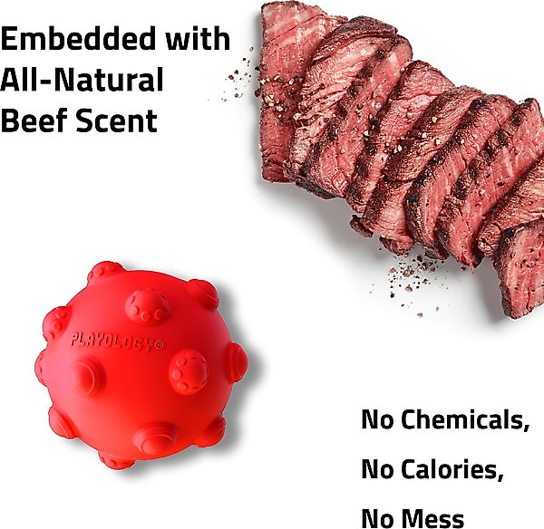 Show full view: Playology Beef Scented Young & Active Teething Ball Dog Toy, Medium slide 5 of 8