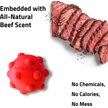 Show in main carousel: Playology Beef Scented Young & Active Teething Ball Dog Toy, Medium slide 5 of 8