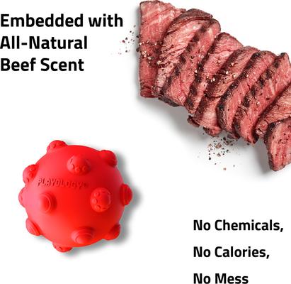 Show full view: Playology Beef Scented Young & Active Teething Ball Dog Toy, Medium slide 4 of 7