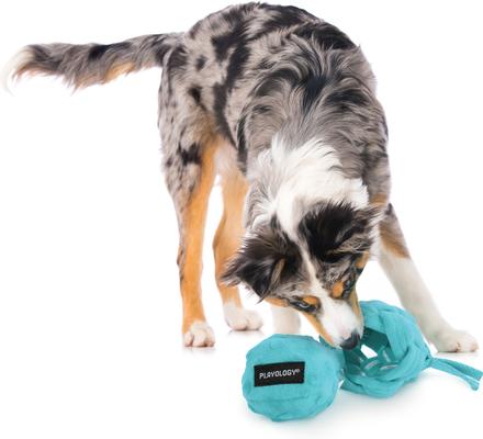 Show full view: Playology Peanut Butter Scented Young & Active Hide N Seek Ball Plush Dog Toy, Jumbo slide 3 of 8