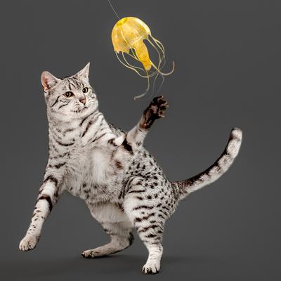 Show full view: Playology Jellyfish Teaser Cat Toy slide 3 of 7