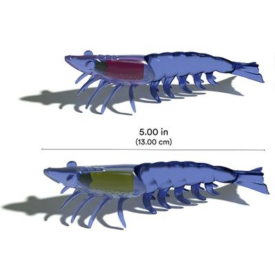 Show full view: Playology Crawfish Cat Toy with Catnip, 2 count slide 5 of 8