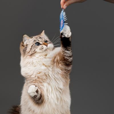 Show full view: Playology Crawfish Cat Toy with Catnip, 2 count slide 3 of 8