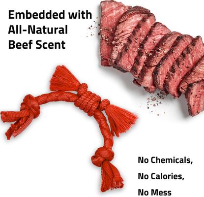 Show full view: Playology Beef Scented Young & Active Sensory Rope Dog Toy, Small, slide 5 of 9