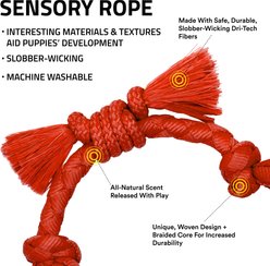 Playology Beef Scented Young & Active Sensory Rope Dog Toy, Small, slide 2 of 6