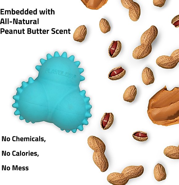 Show full view: Playology Peanut Butter Scented Young & Active Teething Bounce Ball Dog Toy, Medium slide 5 of 10