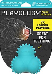 Playology Peanut Butter Scented Young & Active Teething Bounce Ball Dog Toy, Medium