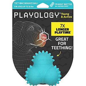 Playology Peanut Butter Scented Young & Active Teething Bounce Ball Dog Toy, Medium