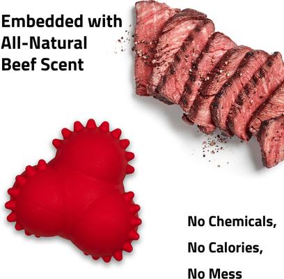 Show full view: Playology Beef Scented Young & Active Teething Bounce Ball Dog Toy, Medium slide 4 of 9