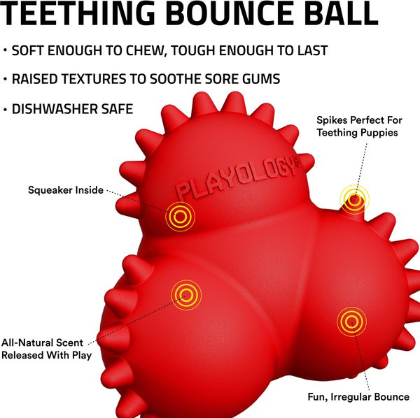 Show full view: Playology Beef Scented Young & Active Teething Bounce Ball Dog Toy, Medium slide 3 of 10