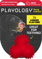 Playology Beef Scented Young & Active Teething Bounce Ball Dog Toy, Medium