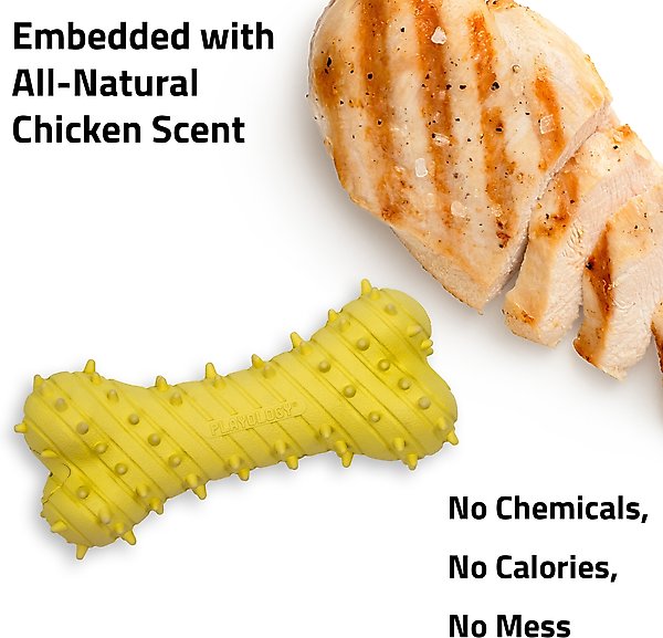 Show full view: Playology Chicken Scented Young & Active Teething Bone Dog Toy, Jumbo slide 5 of 10