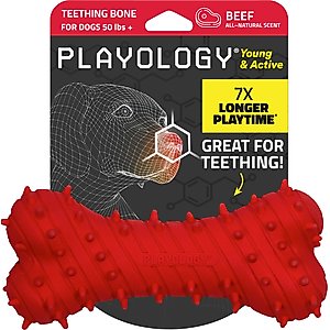 Playology Beef Scented Young & Active Teething Bone Dog Toy, Jumbo