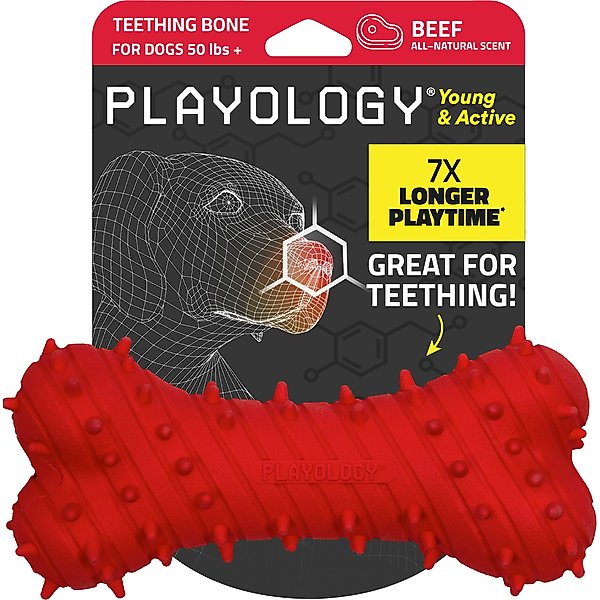 Playology Beef Scented Young & Active Teething Bone Dog Toy