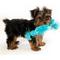 Show in main carousel: Playology Peanut Butter Scented Young & Active Sensory Rope Dog Toy, Small slide 4 of 9