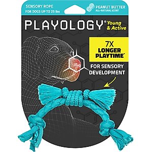Playology Peanut Butter Scented Young & Active Sensory Rope Dog Toy, Small