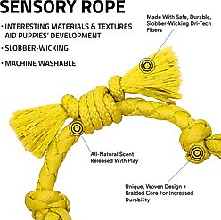 Playology Chicken Scented Young & Active Sensory Rope Dog Toy, Small slide 2 of 6