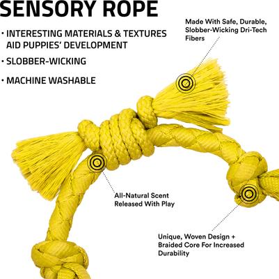 Show full view: Playology Chicken Scented Young & Active Sensory Rope Dog Toy, Small slide 2 of 8