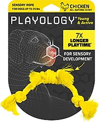 Playology Chicken Scented Young & Active Sensory Rope Dog Toy, Small