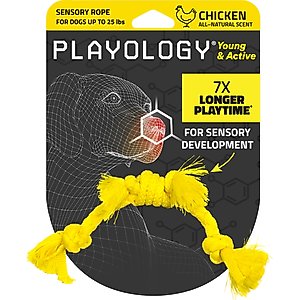 Playology Chicken Scented Young & Active Sensory Rope Dog Toy, Small