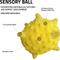 Show in main carousel: Playology Chicken Scented Young & Active Sensory Ball Dog Toy, Jumbo slide 2 of 8