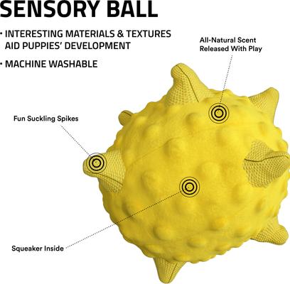 Show full view: Playology Chicken Scented Young & Active Sensory Ball Dog Toy, Jumbo slide 2 of 8