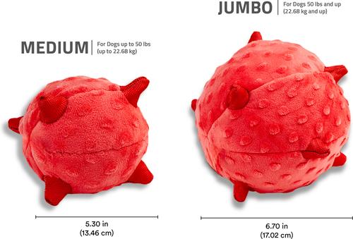 Show full view: Playology Beef Scented Young & Active Sensory Ball Dog Toy, Small slide 6 of 9