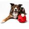 Show in main carousel: Playology Beef Scented Young & Active Sensory Ball Dog Toy, Jumbo slide 4 of 9