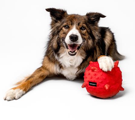 Show full view: Playology Beef Scented Young & Active Sensory Ball Dog Toy, Jumbo slide 4 of 9