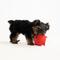 Show in main carousel: Playology Beef Scented Young & Active Sensory Ball Dog Toy, Small slide 4 of 9