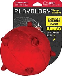 Playology Beef Scented Young & Active Sensory Ball Dog Toy, Jumbo