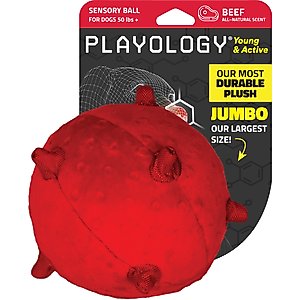 Playology Beef Scented Young & Active Sensory Ball Dog Toy, Jumbo