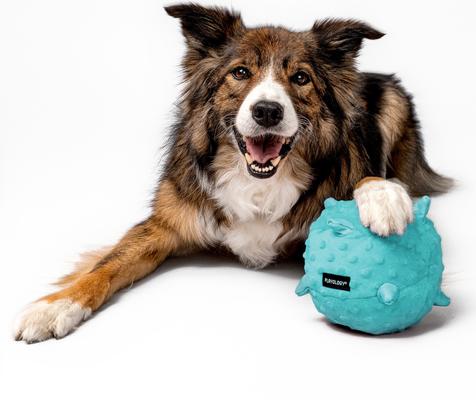 Show full view: Playology Peanut Butter Scented Young & Active Sensory Ball Dog Toy, Jumbo slide 3 of 9