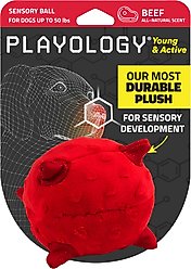 Playology Beef Scented Young & Active Sensory Ball Dog Toy, Small