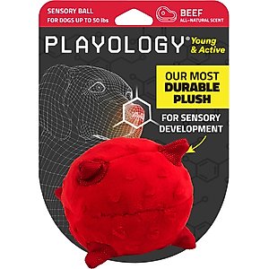 Playology Beef Scented Young & Active Sensory Ball Dog Toy, Small