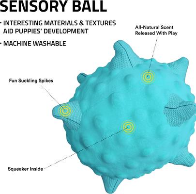 Show full view: Playology Peanut Butter Scented Young & Active Sensory Ball Dog Toy, Jumbo slide 2 of 9