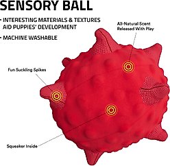 Playology Beef Scented Young & Active Sensory Ball Dog Toy, Small slide 2 of 6