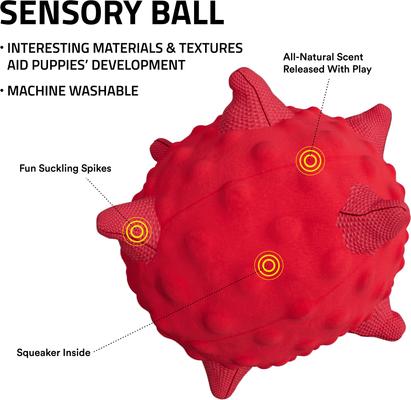 Show full view: Playology Beef Scented Young & Active Sensory Ball Dog Toy, Small slide 3 of 9