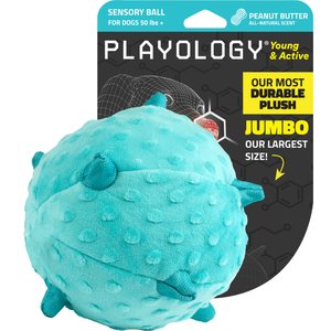 Playology Peanut Butter Scented Young & Active Sensory Ball Dog Toy, Jumbo